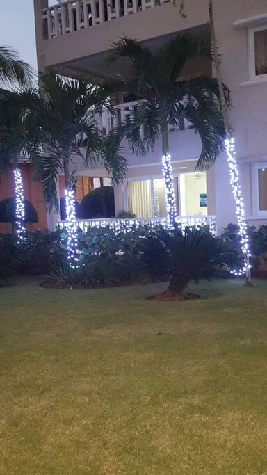 vista frontal - front view - Garden