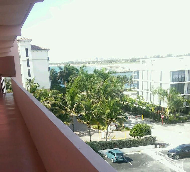 Opposite view. Beyond the palm tree you can see Lake Worth Inlet. See cruise ships coming in.