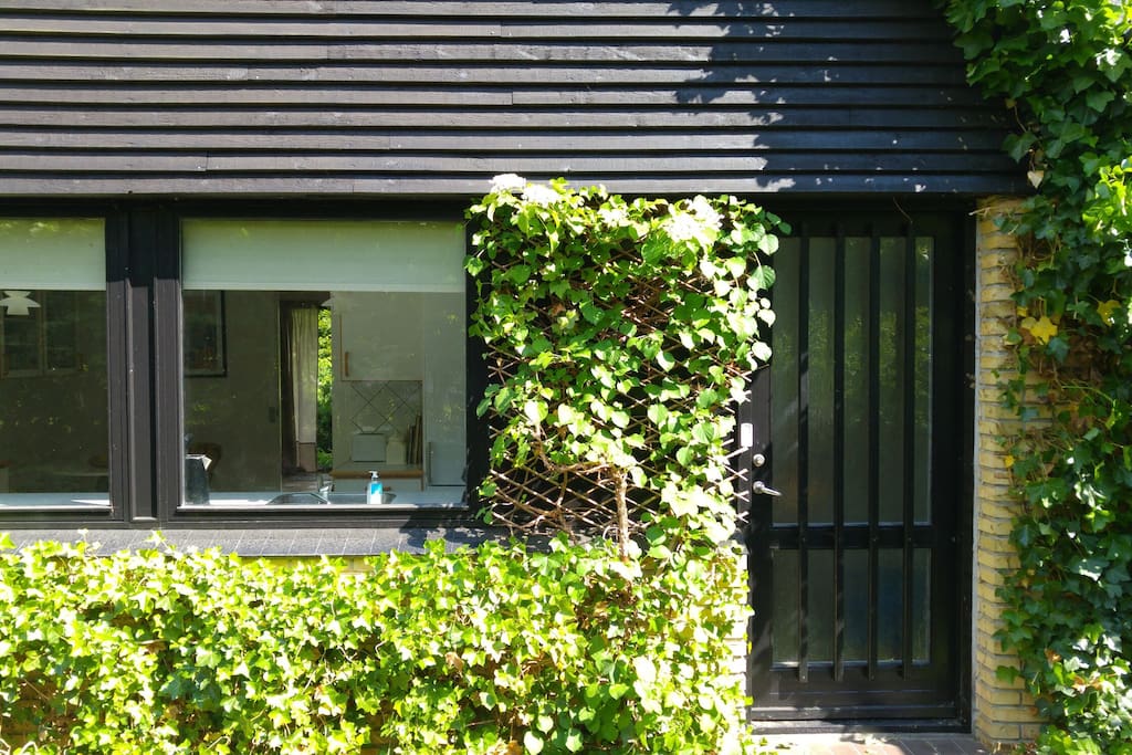 Front door (the second)