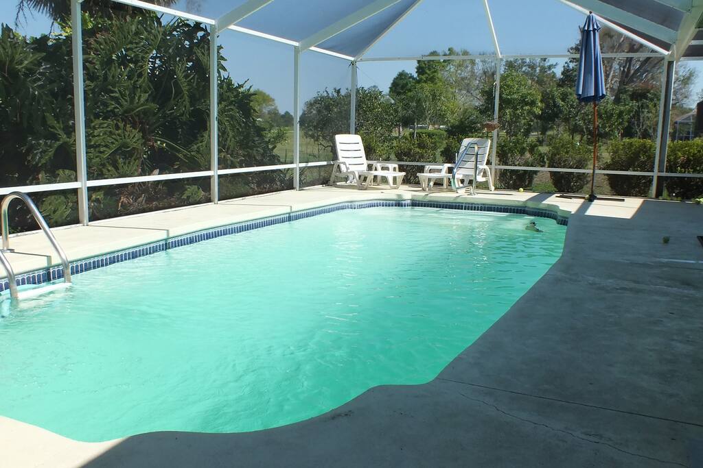 Screen in Pool