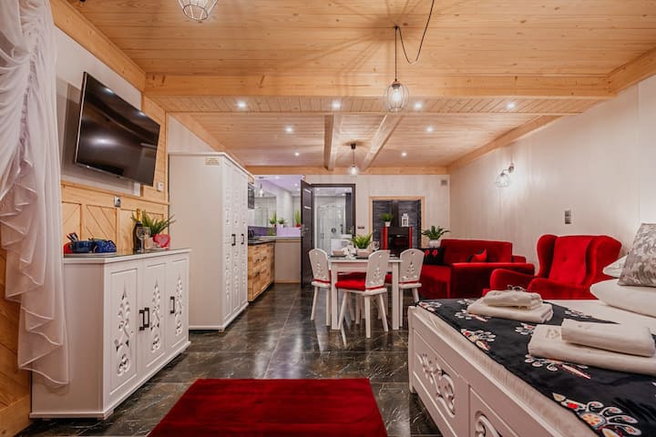 Un apartamento estudio, muy espacioso y cómodo. Un televisor, una chimenea, armarios, cómodas y un sofá cama doble, y una cama doble grande. Todo en interiores modernos y de buen gusto.