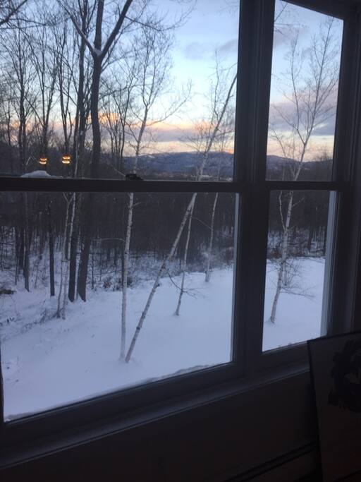 View from the dining table.