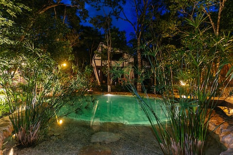 Cenote full house + Natural pool