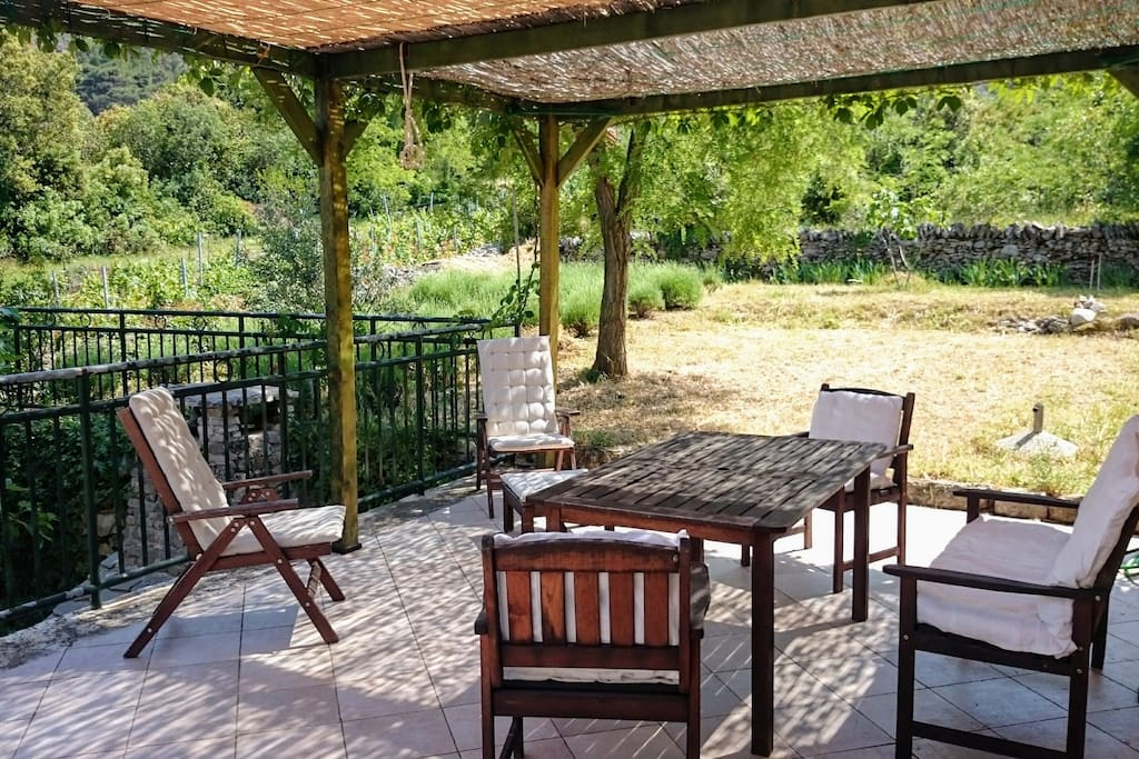 The terrace behind the house