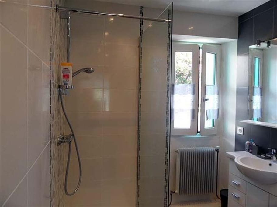 Salle d'eau fonctionnelle avec douche
