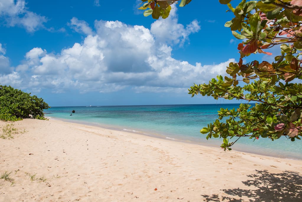 Beach in front of Carib Edge penthouse