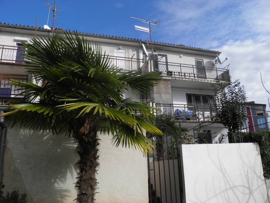 House Biba
