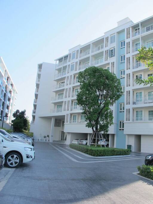 Landscape of main building