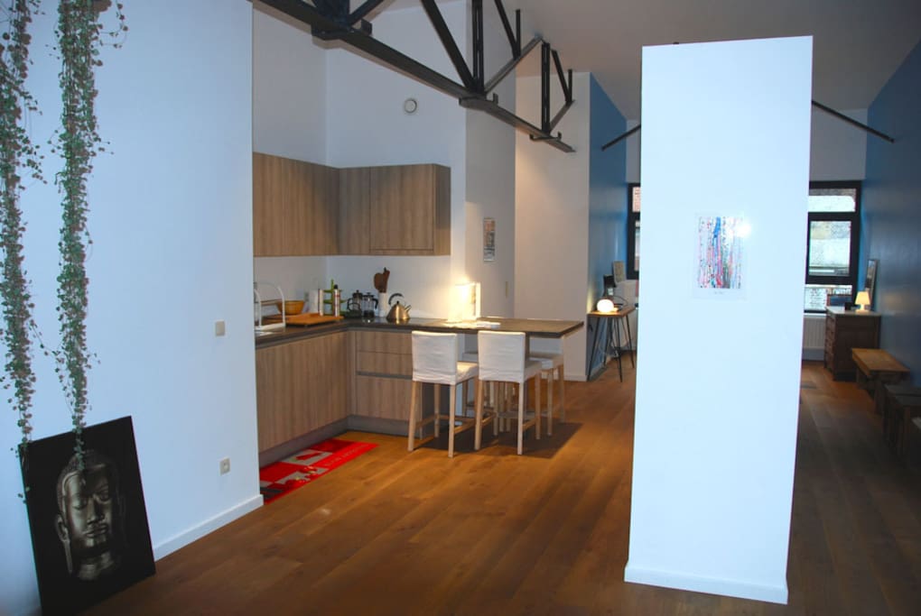 Loft industriel (charpente métallique) : vue vers le coin cuisine.