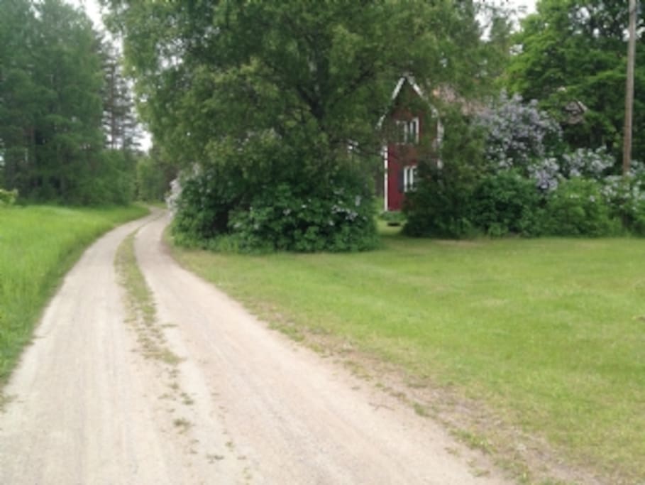 The small road leading to the beach and the house in the background.