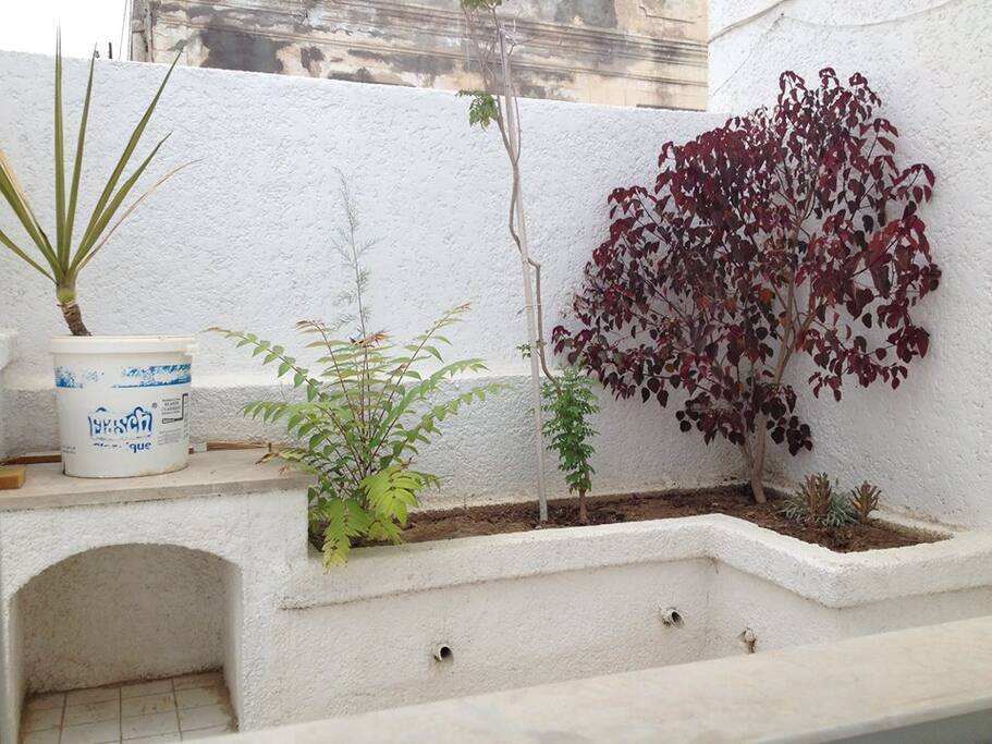 Terrasse