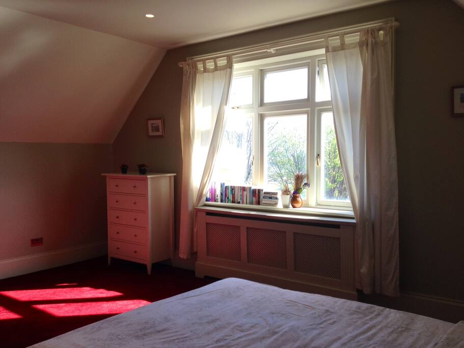 Room Rent Near Aviva Drive Room Rent Near Aviva Drive