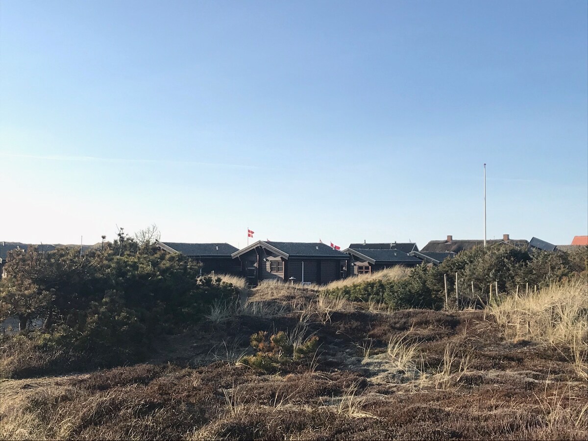 The image depicts a view of several wooden cabins set against a clear blue sky. Natural vegetation, including sand dunes and shrubs, surrounds the area, contributing to the serene landscape. Danish flags are seen atop the cabins, symbolizing local heritage.