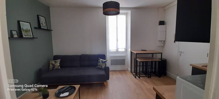 Bel Appartement Rez-de-chaussée Cour Proche Centre - Bourges