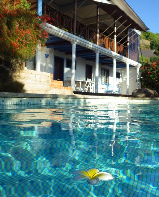 La piscine