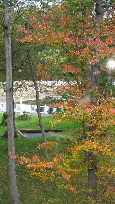 View from Balcony