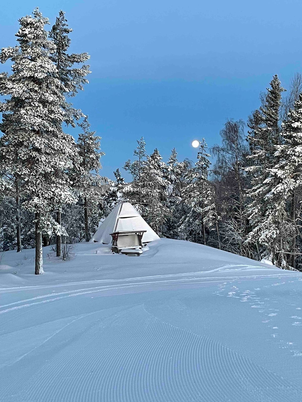 A serene winter landscape features a traditional tent structure surrounded by snow-covered trees. A bright moon is visible in the clear blue sky, creating a peaceful ambiance. The snow reflects the moonlight, adding to the tranquility of the scene.