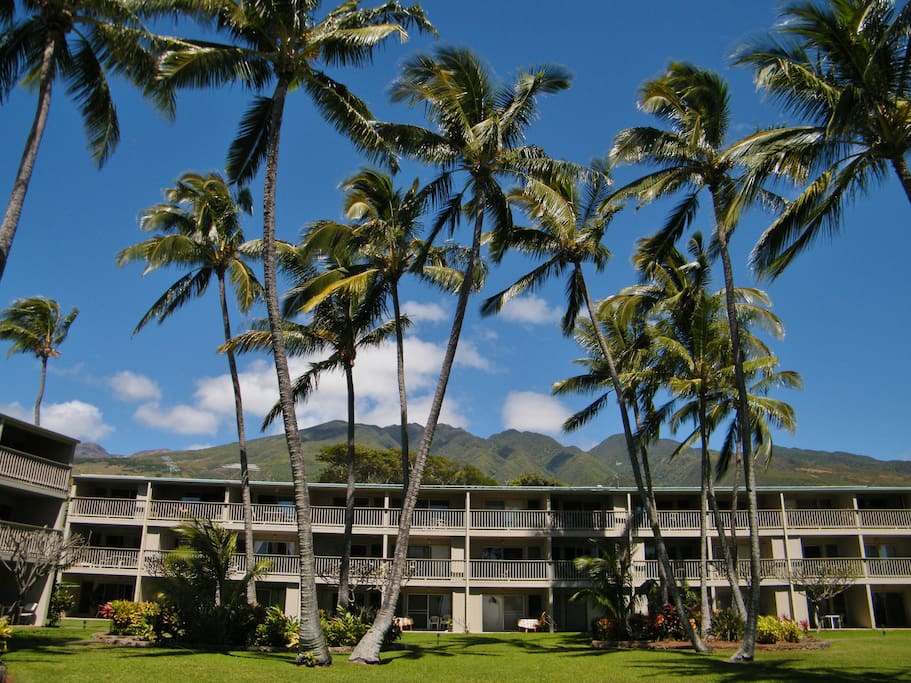 Wavecrest Resort
with mountains in the background