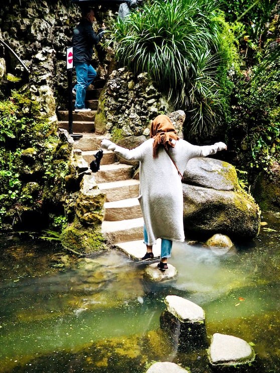 Show full-screen, host-provided image