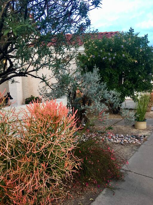 Front-yard entrance