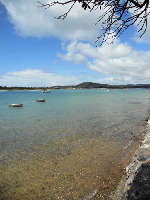 Ngunguru Estuary - across the road from the house