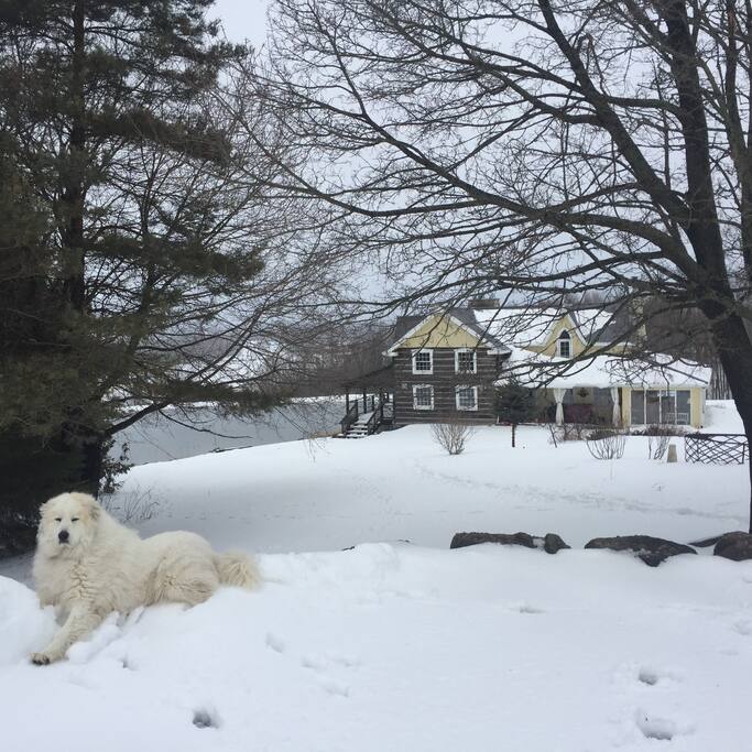 Early spring