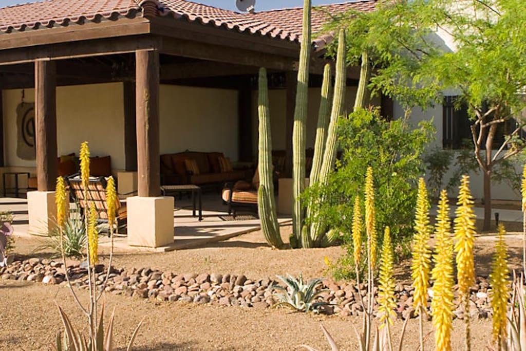 Desert landscape