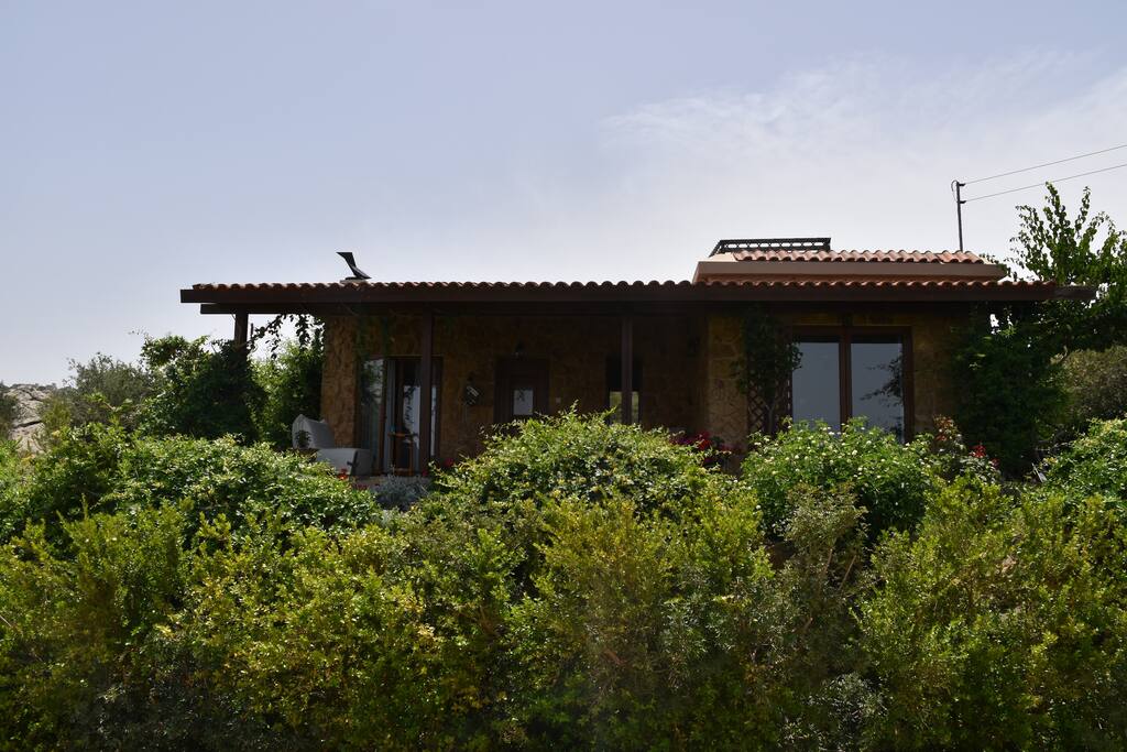Front View