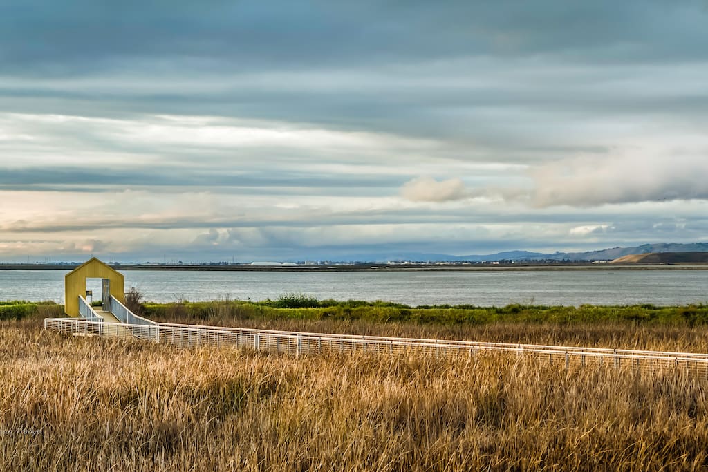 Alviso Marine Park