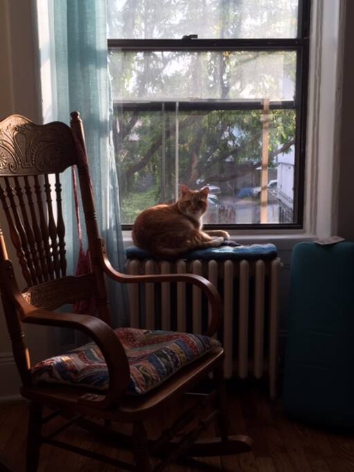 A nice place to relax near the window