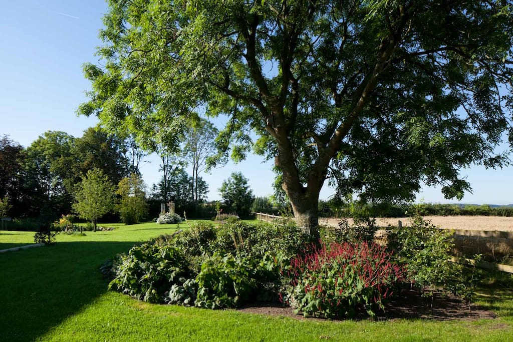 Gartenansicht
