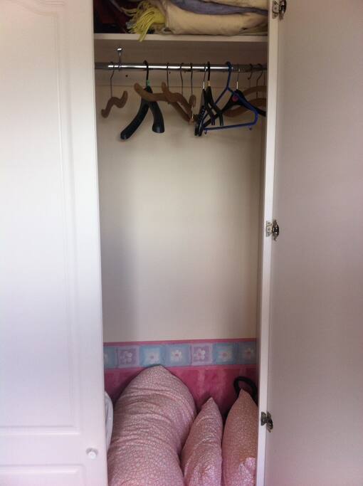 Hanger storage
