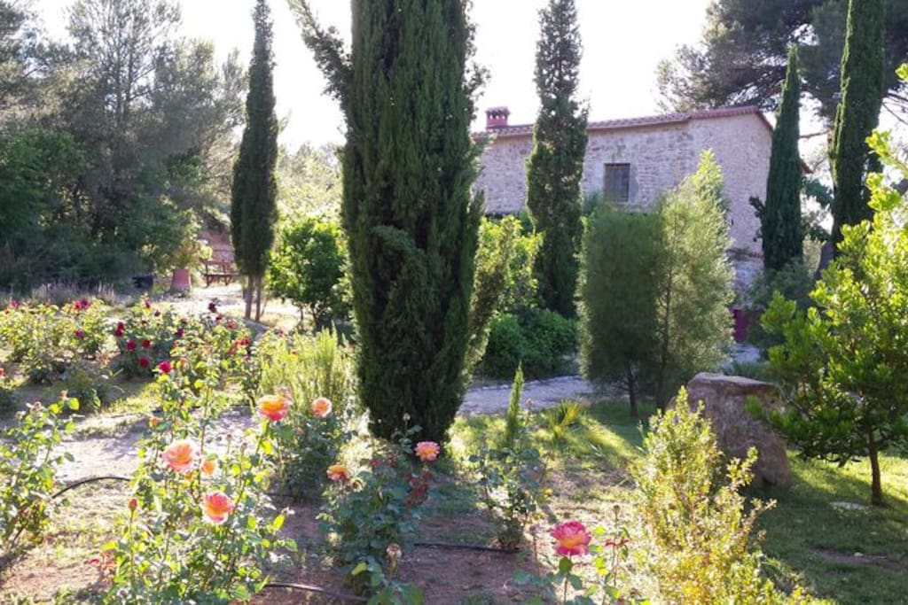 Vista desde el jardín de aromáticas.