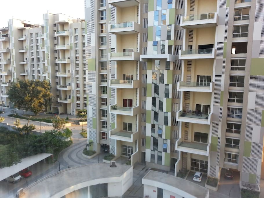 View of our Society Marvel Bounty