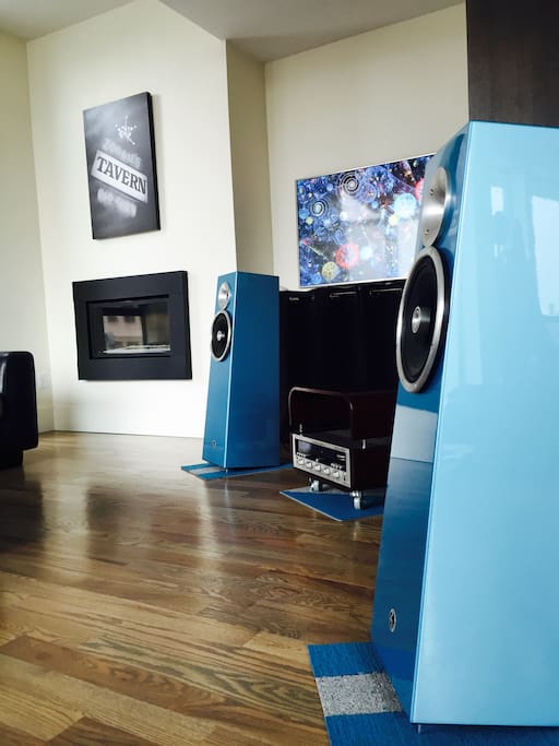 Zu Audio Soul Supremes. You should definitely hang out with us in the living room and listen to some tunes! These speakers are very special.