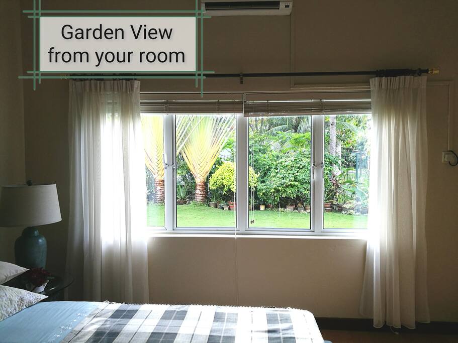 You are welcome to walk around or sun bath in the garden