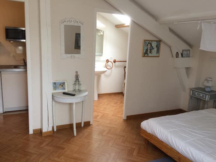 Studio Dans Villa Proche Auchan Pau - Pau