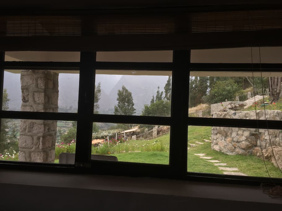 View out of the room