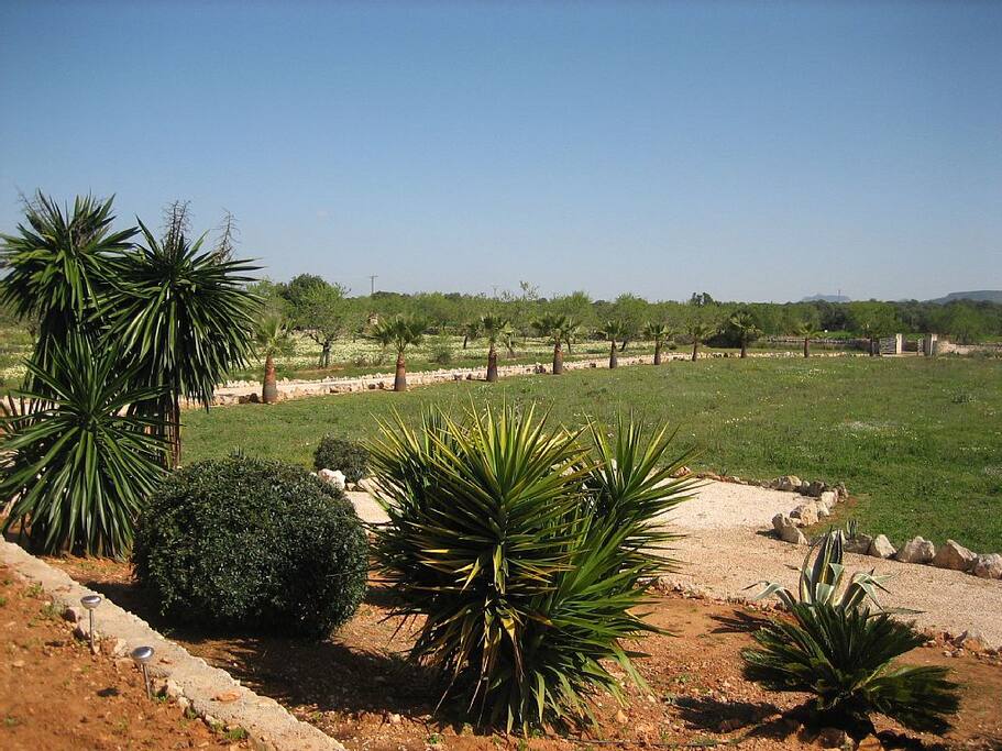 Auffahrt zur Finca