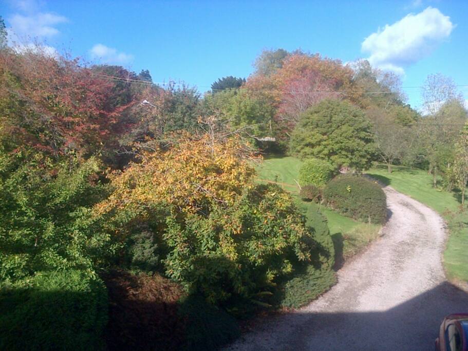 Driveway / front garden
