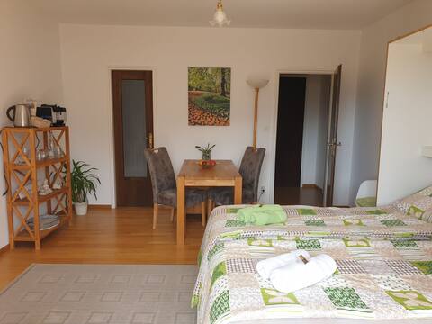 Studio with Balcony and Lake View