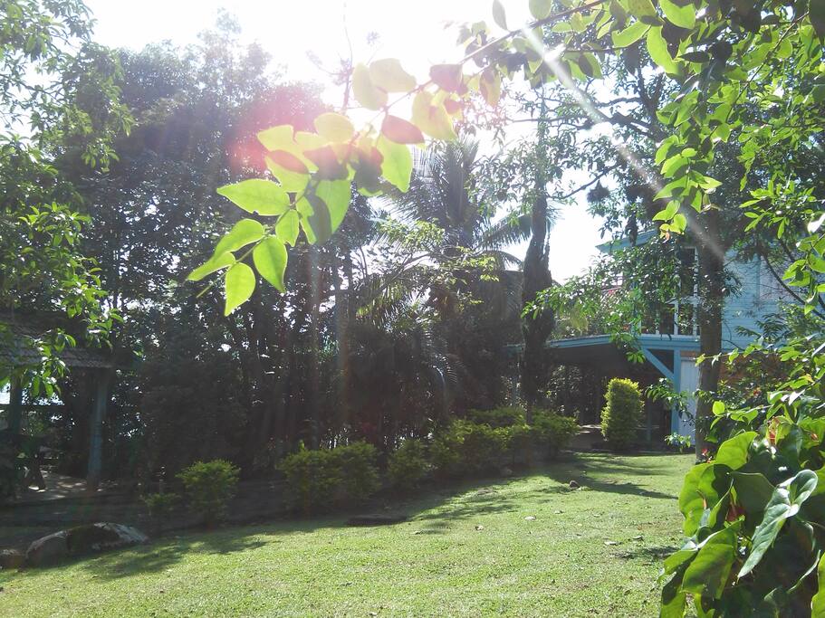amplo jardim com bosque e churrasqueira na beira da praia