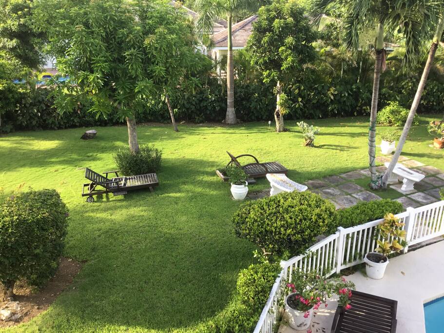Large garden filled with fruit trees and a fenced in pool