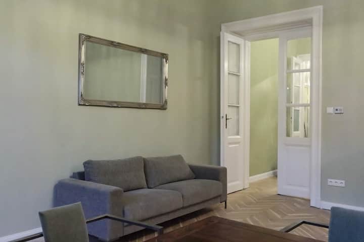 Classy Stylish Big Flat Close To Universities - ブダペスト
