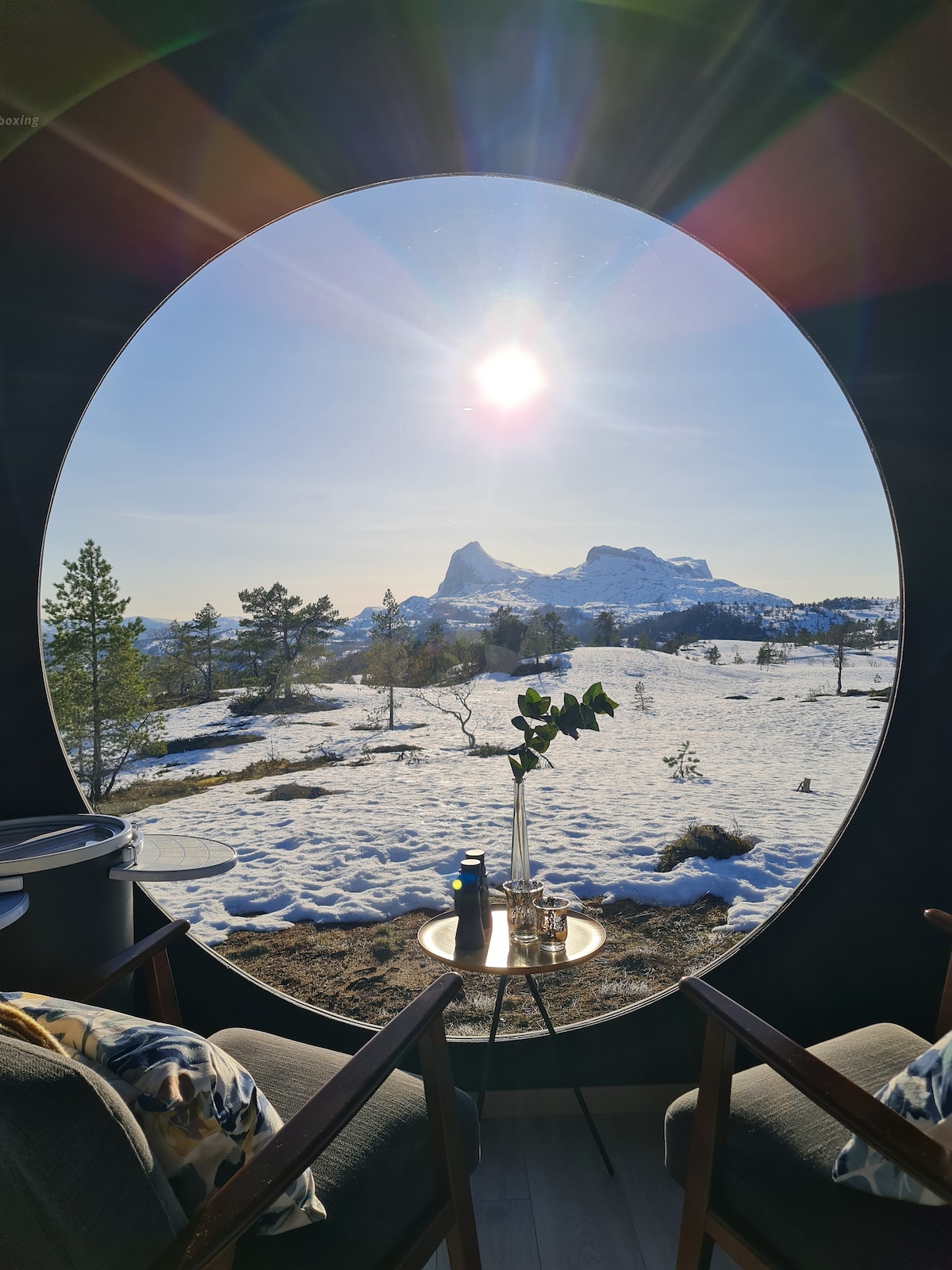 Breathtaking Mountain views in cozy Birdbox - Treehouses for Rent