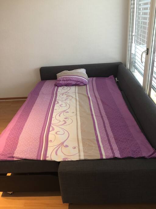 Comfortable sofa bed in living room ..