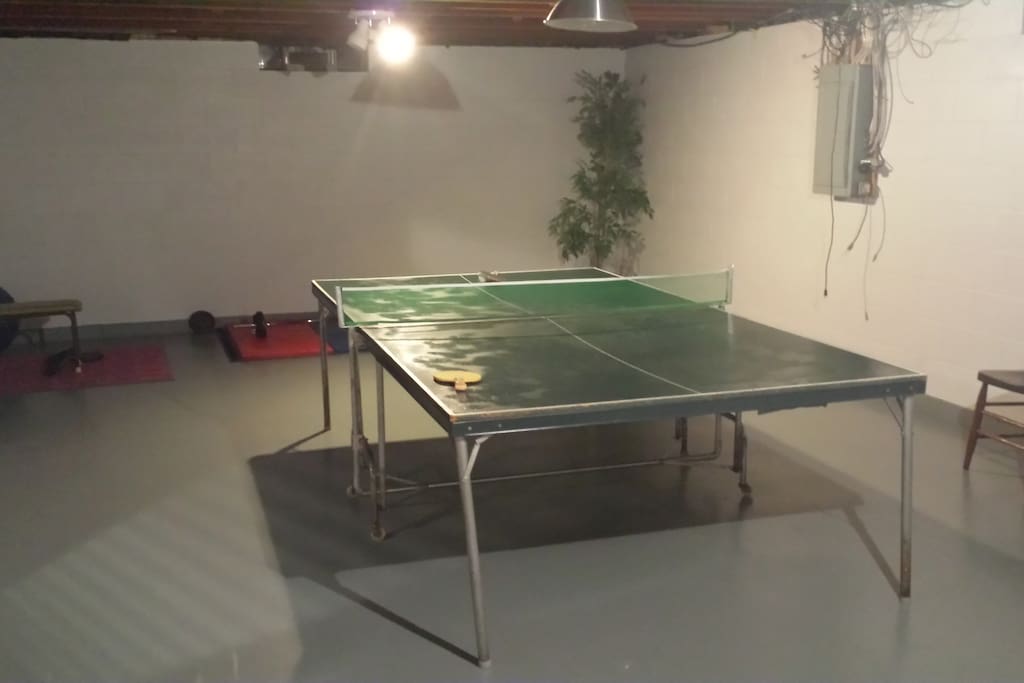 One half of the Lower Level: Ping Pong with 2 piece bath off to the left side.