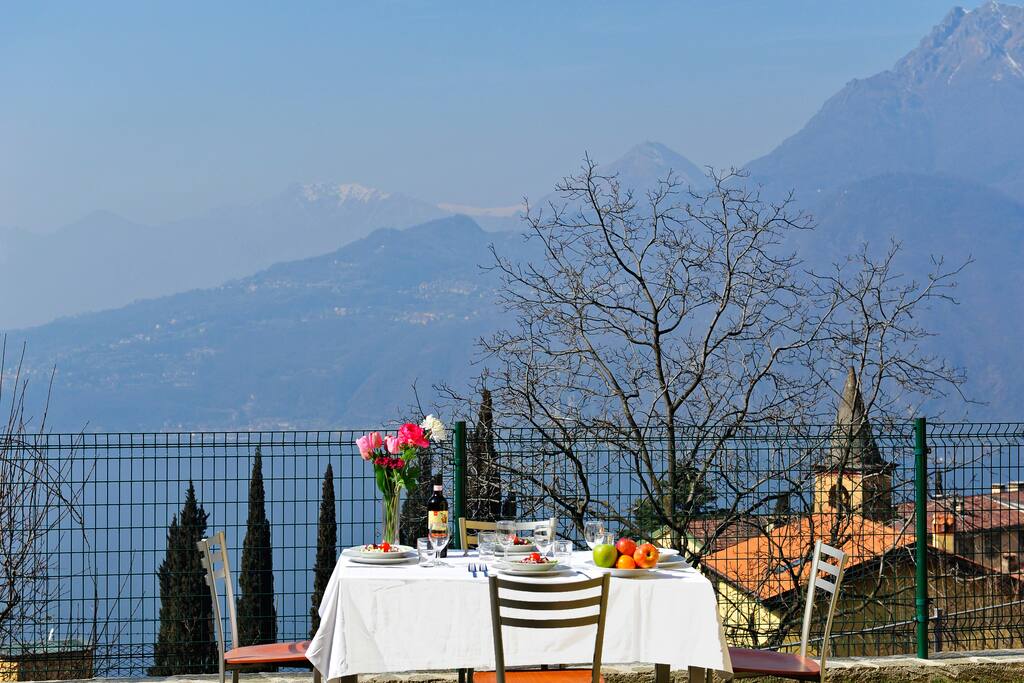 View from the garden
