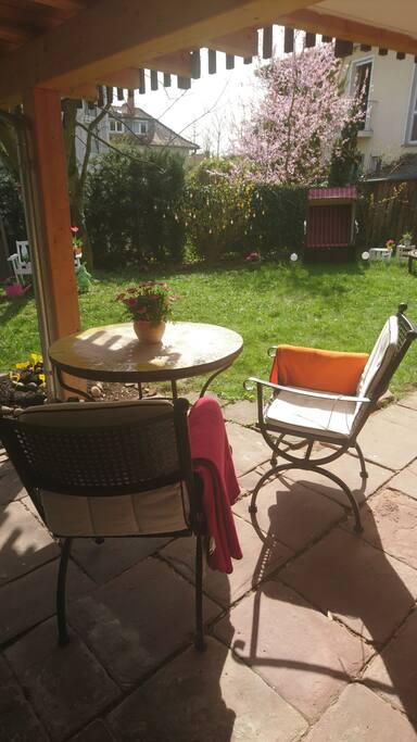 Der Blick in den Garten von der Sonnenterrasse aus.