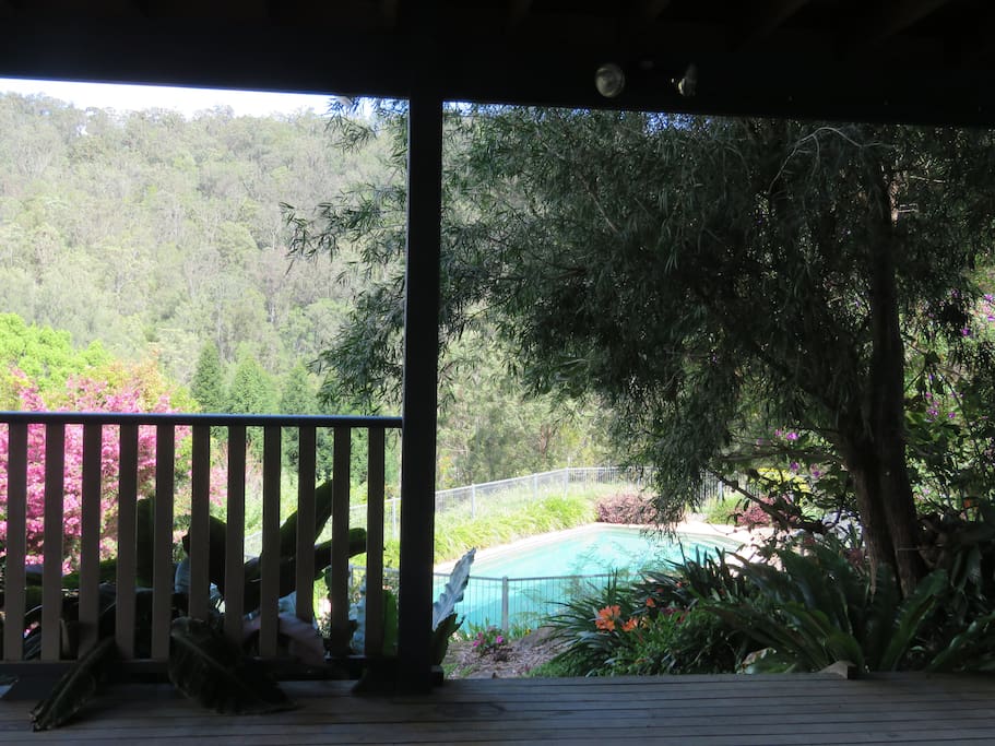 View from the Studio's front door